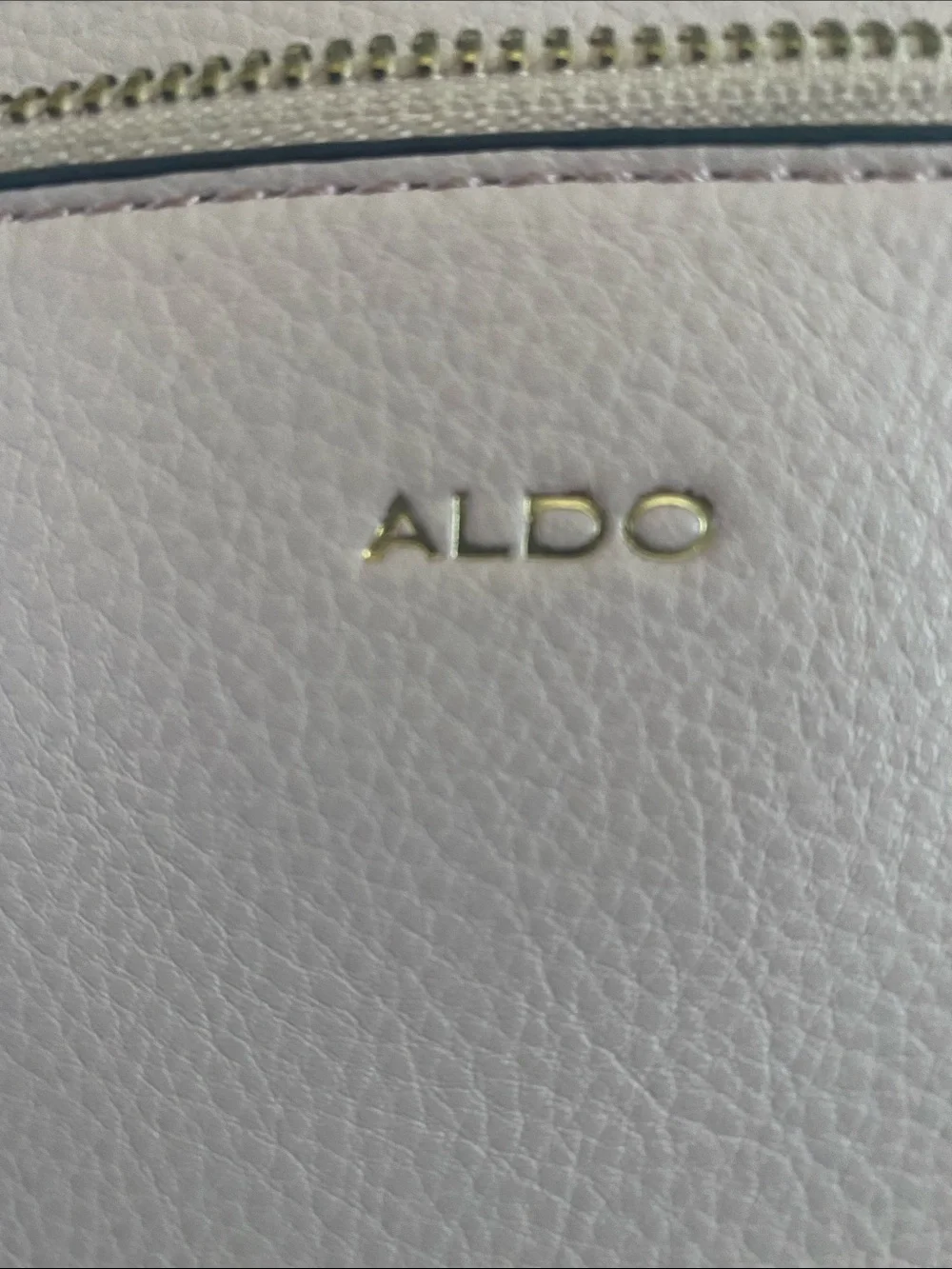 ALDO Light Blush Pebbled Backpack with Gold Hardware